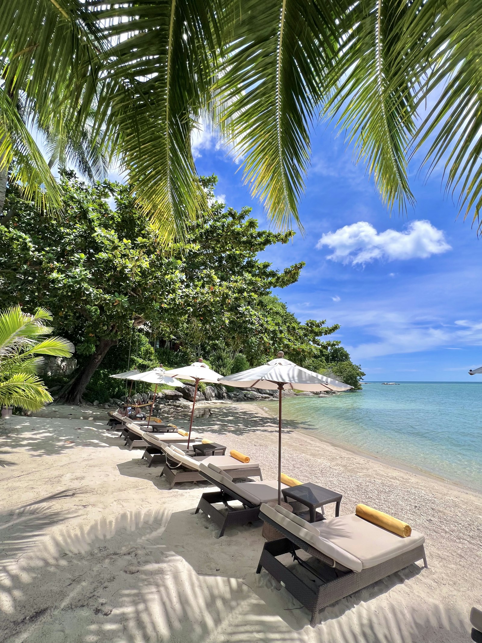 Loungers and white umbrellas under coconut palms on a quiet Koh Samui beach in the green season